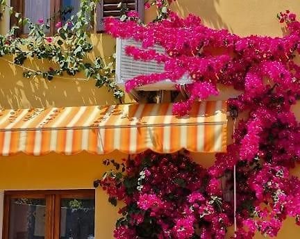 Appartamento In The Heart Of Tuscany モンスンマーノ・テルメ エクステリア 写真