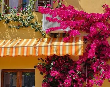 Appartamento In The Heart Of Tuscany モンスンマーノ・テルメ エクステリア 写真